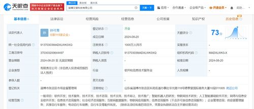 美團在淄博成立科技新公司，聚焦網絡與信息安全軟件開發(fā)